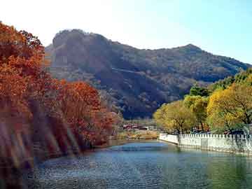 新澳天天开奖资料大全旅游团，增资费用